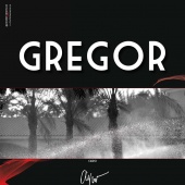 n.22 - Gregor Aymar

